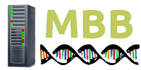 MBB logo